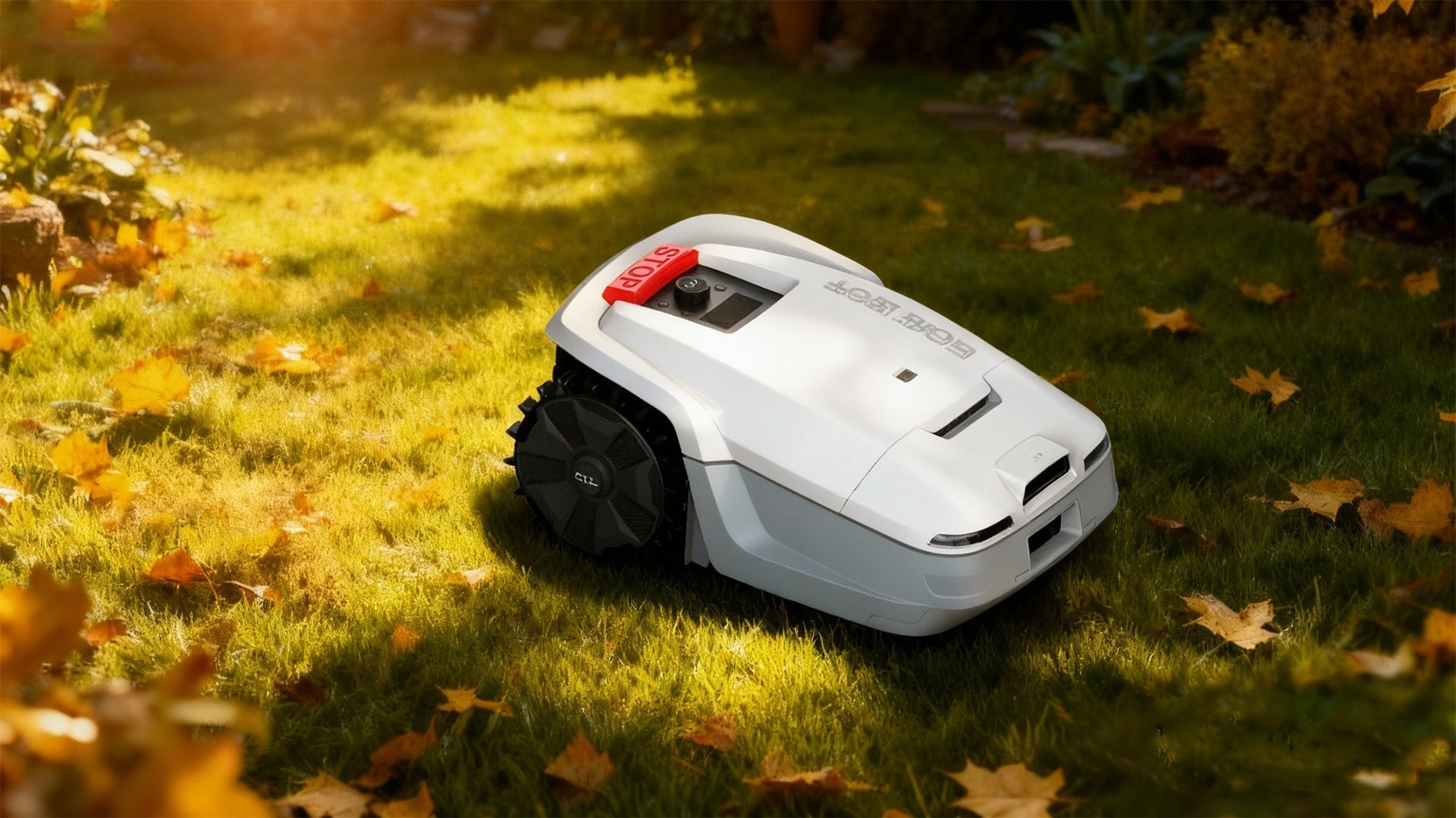 Why Autumn Lawn Care Matters?